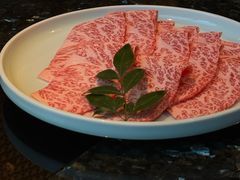 -然锅料理