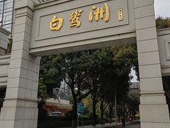 -白鹭洲公园