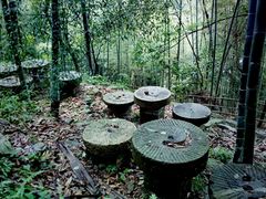 -千泷沟大瀑布旅游区