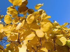 -天津盘山风景名胜区