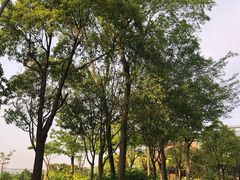 -上海滴水湖皇冠假日酒店