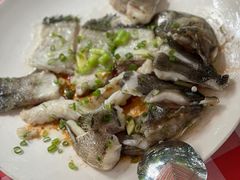-陶缘一号·四季缘·老字号顺德菜·户外婚礼家宴(西滘店)