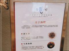 -月龍吟(朝龙汇店)