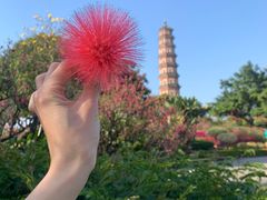 -广州莲花山旅游区