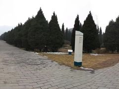 -秦始皇帝陵博物院-丽山园