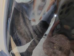 -纳吉亚猫专科动物医院·北北分院
