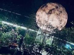 -恬阿姨庭院餐厅·生日宴