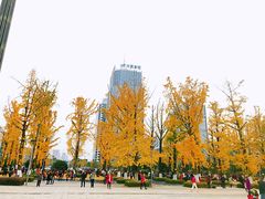 -百林公园-两江幸福广场
