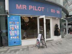 门面-飞行喵MR PILOT|猫舍·猫咖(静安大融城店)