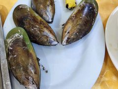 蒸带子-蚝专家(北滘店)