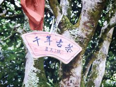 -深圳会展中心