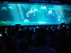 -泉城欧乐堡海洋极地世界