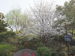-墅园