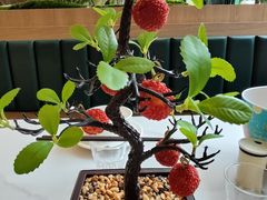 -椿记烧鹅(叠彩店)