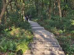 -广州市帽峰山景区