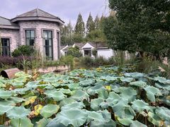 -绍兴大禹开元观堂-若耶厅