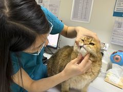 -美联众合动物医院·24h转诊中心