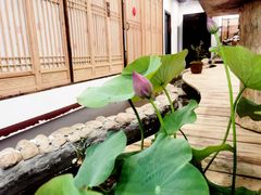 -龙源茶坊(白银路店)