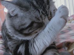 -正阳春烤鸭店(杨楼店)