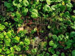 -苏州河梦清园环保主题公园