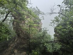 -大连天门山国家森林公园