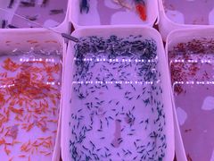 -华声天桥民俗文化园