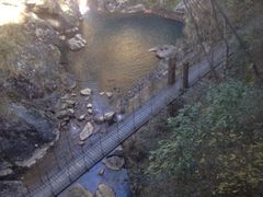 石台牯牛降-石台牯牛降景区