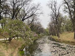 -承德避暑山庄景区