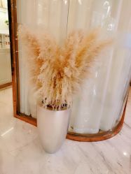 -Hi Beauty Skin 科技美肤中心