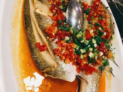 -李师傅脆肚(华强北店)