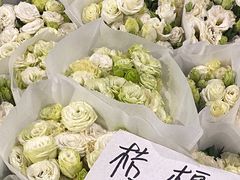 -三圣花乡旅游区