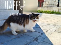 -北京石刻艺术博物馆(五塔寺)