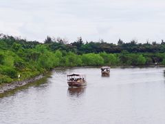 -东寨港红树林旅游区