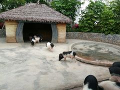 -美的鹭湖森林度假区