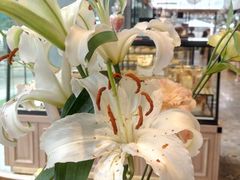 景观位-1Cake壹刻蛋糕(奥体公园味觉艺术馆店)