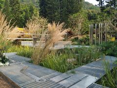 -深圳仙湖植物园