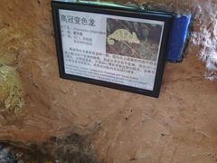 -上海大自然野生昆虫馆(东方明珠·爬宠昆虫探索中心)
