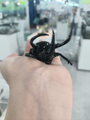 -神奇动物撸宠馆·羊驼·小浣熊·异宠(豫园店)