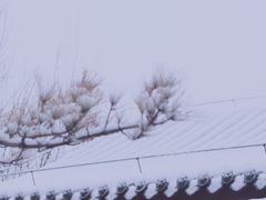 -河间府署