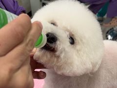 -北京观赏动物医院·24小时大型综合·猫专科·异宠专科