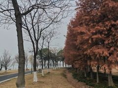 -阳澄湖半岛旅游度假区