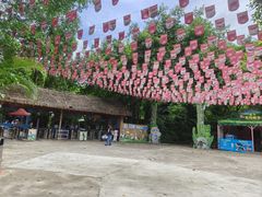 -广州长隆飞鸟乐园