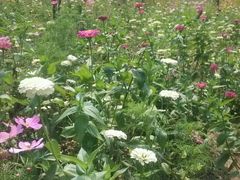 -沕沕水生态风景区