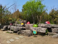 -苏州太湖国家湿地公园