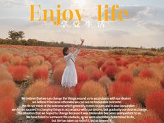 -映月湖中央公园