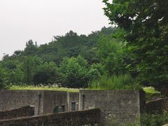 -都江堰中华大熊猫苑