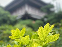 -龙华寺