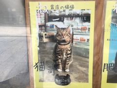 -洪馨椰子