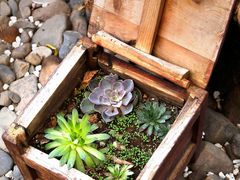 -半山腰·云南菜(侨福芳草地店)