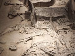 -北京大葆台遗址博物馆